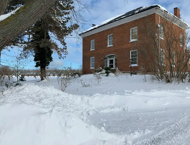 The House of Elsie hotel detail image 3