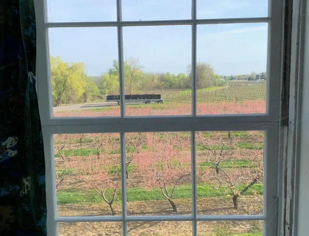 The House of Elsie hotel detail image 4