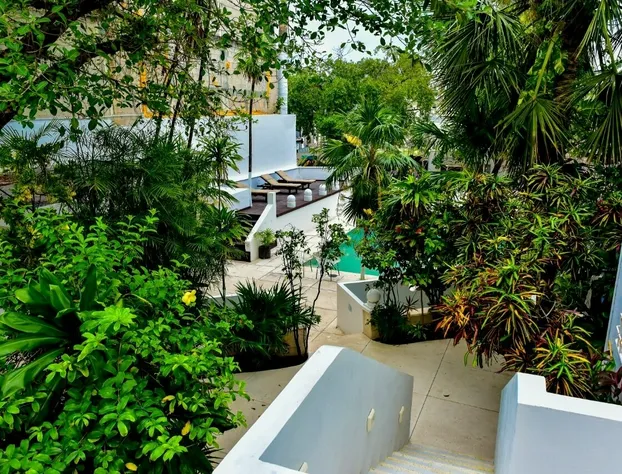 Hotel tropical casa blanca hotel detail image 1