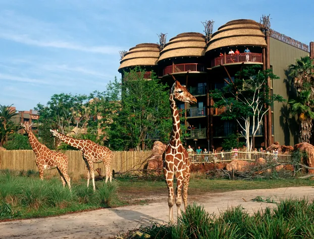 Disney's Animal Kingdom Villas - Jambo House hotel detail image 2