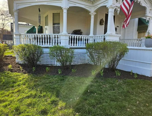 Maon House Bed and Breakfast hotel detail image 1