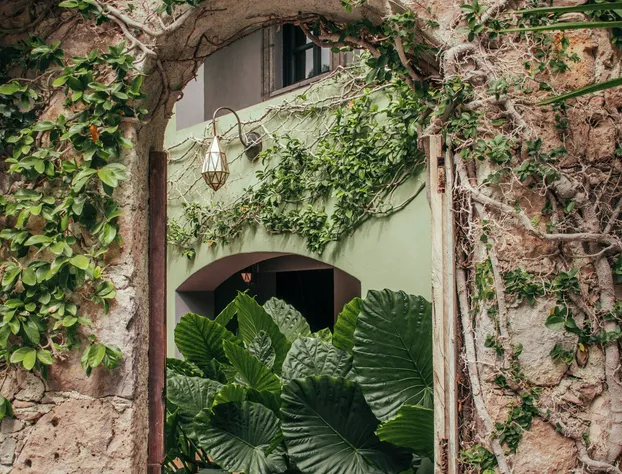Piedras Negras hotel detail image 2