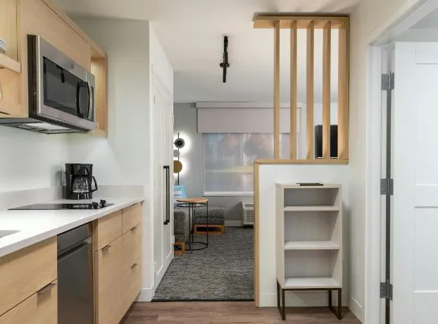 Towneplace Suites By Marriott Savannah Pooler hotel detail image 3