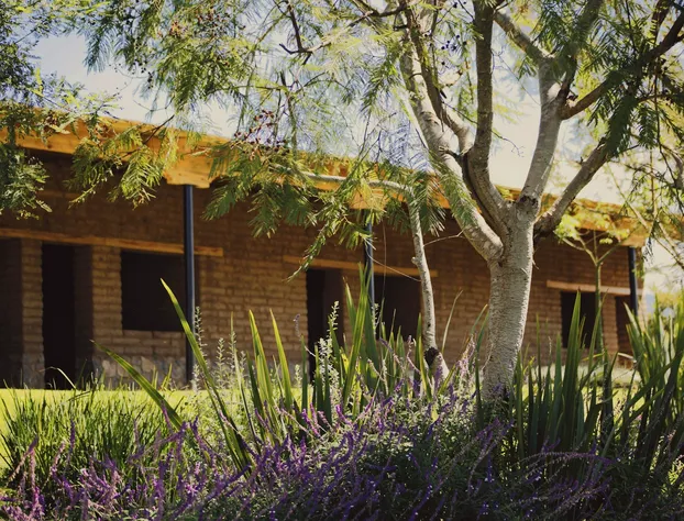 Casa Xaguar hotel detail image 2