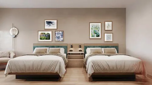 Cambria Hotel Euless - DFW Airport South hotel detail image 2