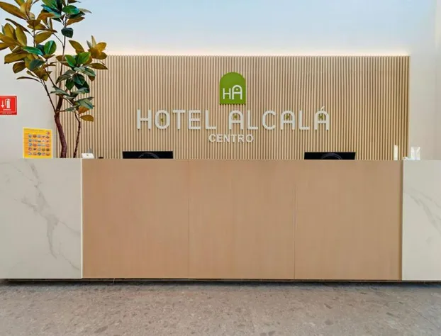 Hotel Alcalà Centro hotel detail image 4