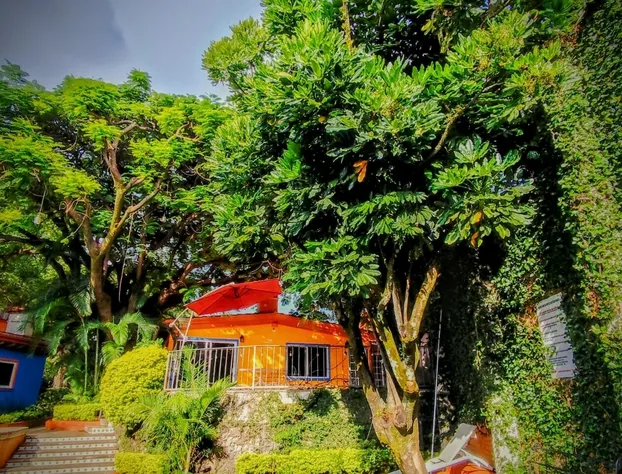 Hotel Eterna Primavera Cuernavaca hotel detail image 2