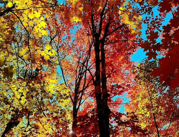 LaniKai Hotel & Restaurant hotel detail image 3