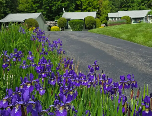 Adirondack Sunrise Motel and Cabins hotel detail image 2