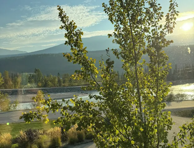 Lodge and Lantern hotel detail image 4