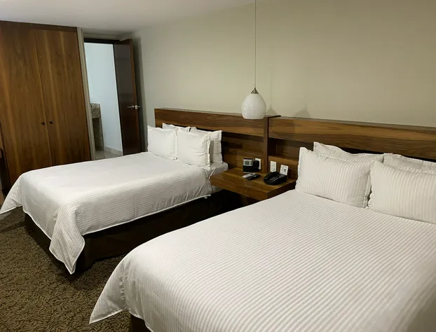 Hilton Garden Inn Mexico City Polanco hotel detail image 1