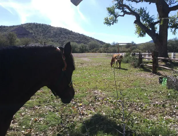 Rancho Santa Cruz hotel detail image 3