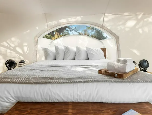 Under Canvas White Mountains hotel detail image 4