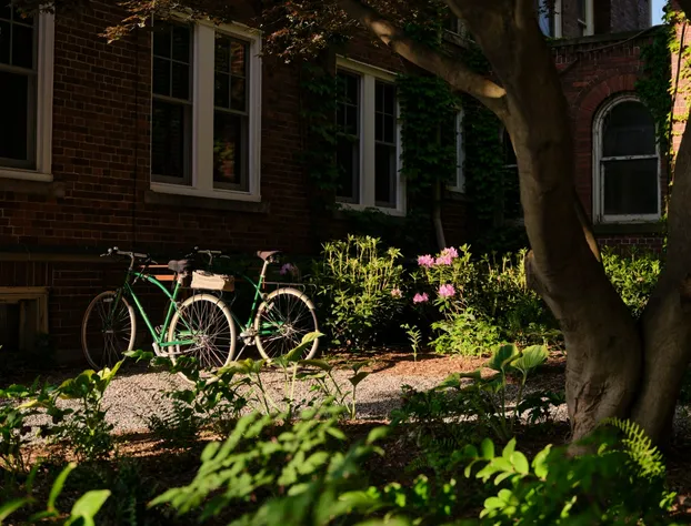 Aleo hotel detail image 4