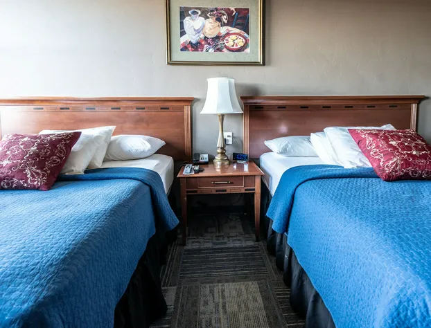 Rundle Suites hotel detail image 4