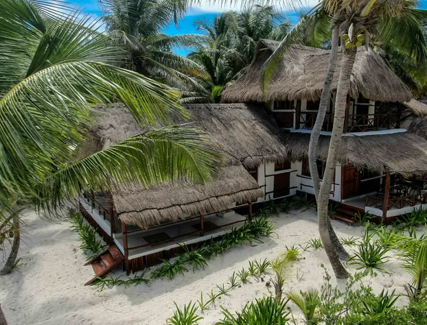 BT Live Tulum located at the party zone hotel detail image 1