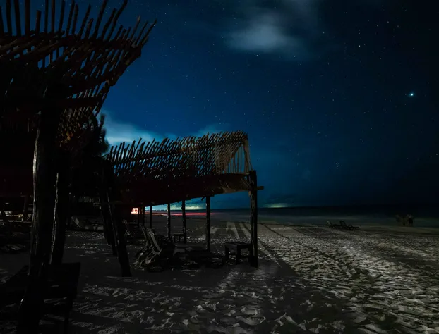 BT Live Tulum located at the party zone hotel detail image 3