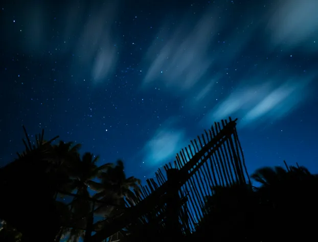 BT Live Tulum located at the party zone hotel detail image 4