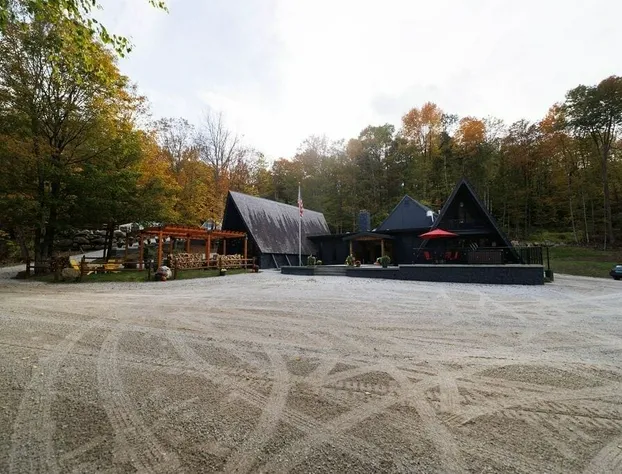 Rent An Inn! Takeover The Birch Ridge W/ Your Group. Mountain Lodge: 11 Rooms, Bar, Fireplace. 28ppl 11 Bedroom Home hotel detail image 3