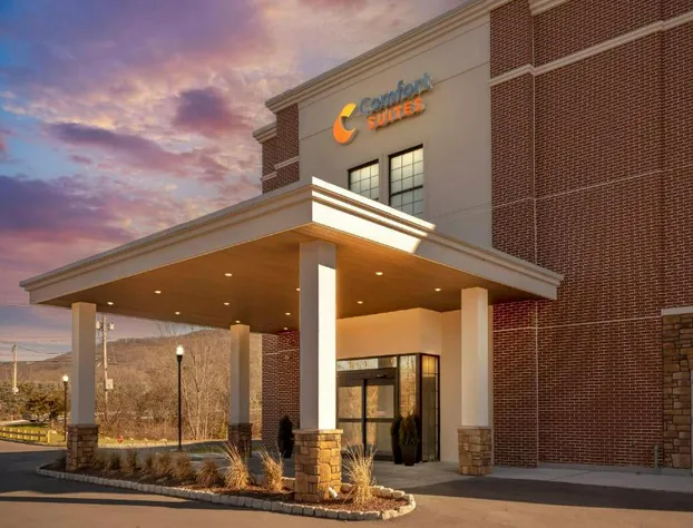 Comfort Suites Central Valley - Woodbury hotel detail image 3