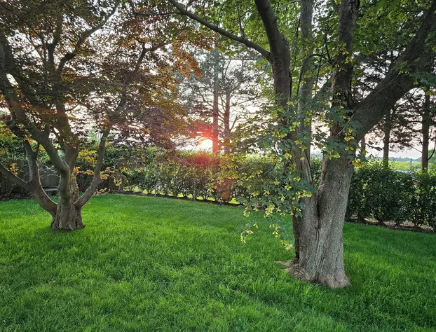 Vine & Sand hotel detail image 1