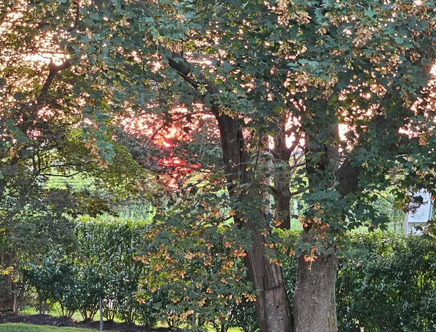 Vine & Sand hotel detail image 2