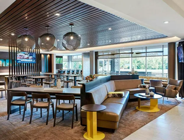 Springhill Suites By Marriott Braselton hotel detail image 1