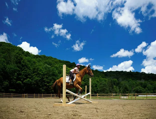 Saddleview Bed & Breakfast hotel detail image 2