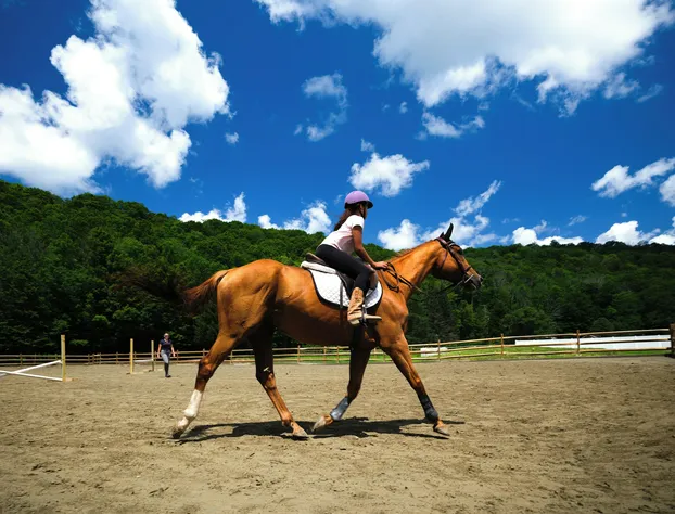 Saddleview Bed & Breakfast hotel detail image 4