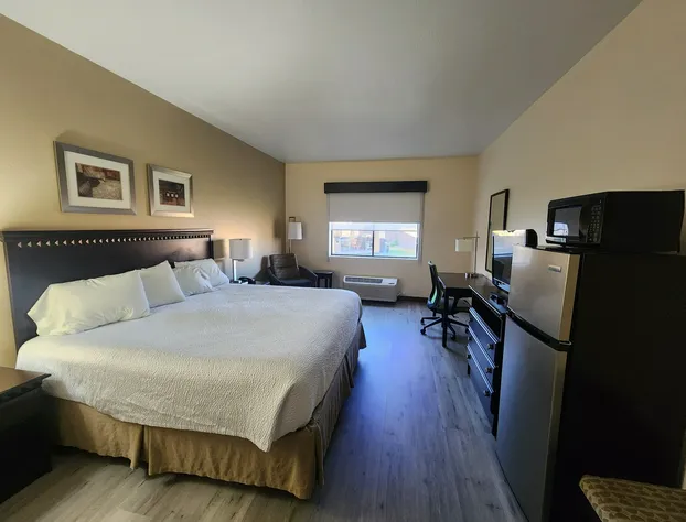 Cash Rewards Inn & Suites hotel detail image 1