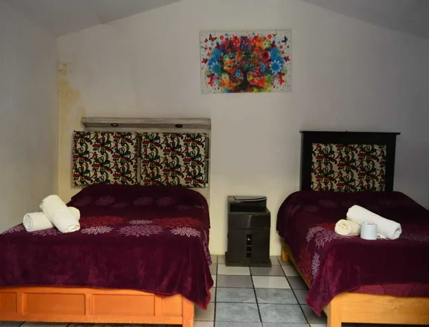 Hotel el colibrí hotel detail image 1