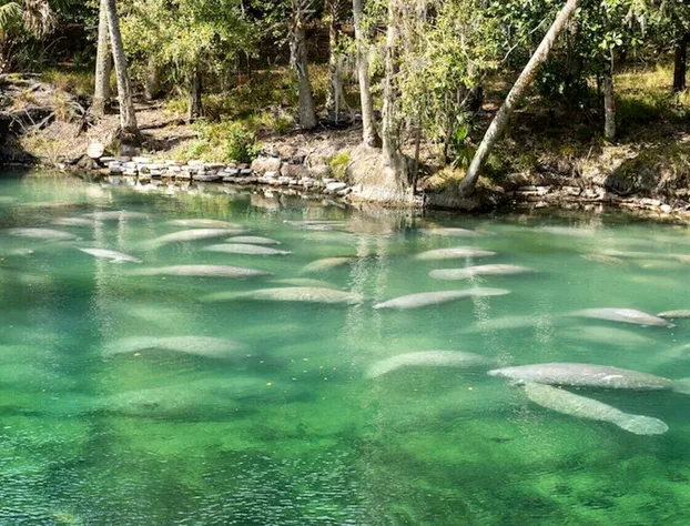 Pineapple Shores Retro Inn Queen Double Economy hotel detail image 2