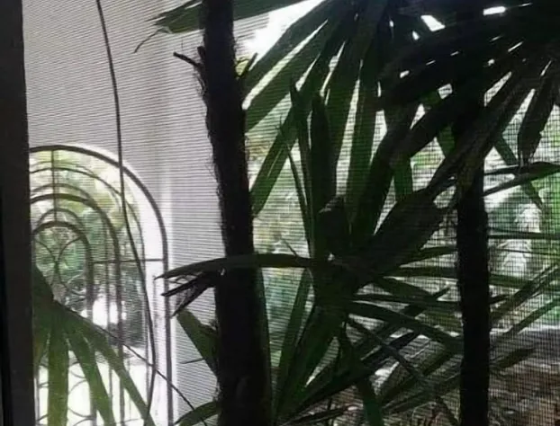 Hotel Raiz de Sierra hotel detail image 2