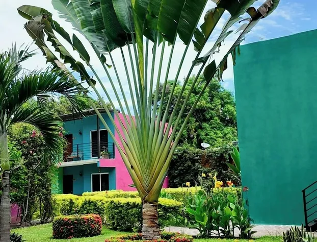 Hotel Tayha hotel detail image 3