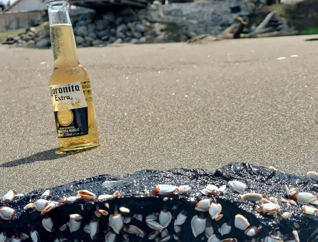 Hotel Playa Tortugas hotel detail image 2