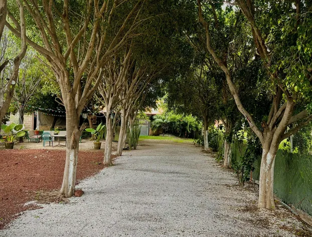 Hotel Paraje Atlixco hotel detail image 2