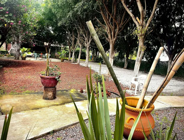 Hotel Paraje Atlixco hotel detail image 3