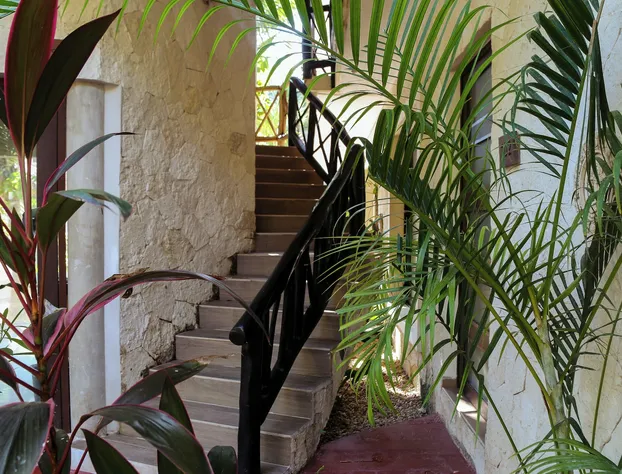 Nohoch Tunich Hotel hotel detail image 2