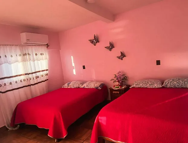 Hotel Ricarda Yopes hotel detail image 2