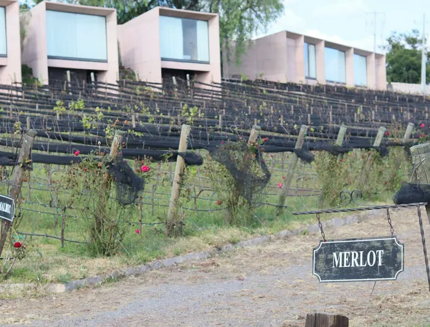 Hacienda Lagunillas hotel detail image 1