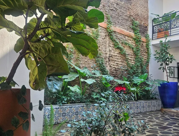 Casa Mestiza hotel detail image 2