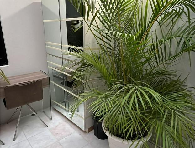 NIDO Hotel hotel detail image 4