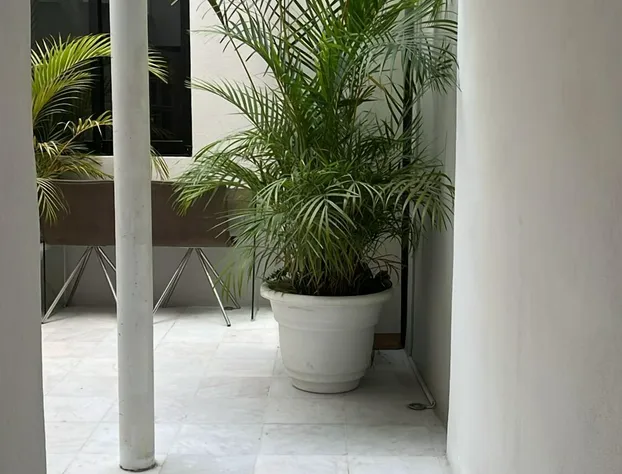 NIDO Hotel hotel detail image 4