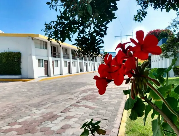 Hotel JM Celaya hotel detail image 4