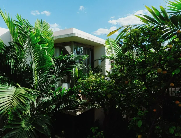 Casa Querida hotel detail image 1