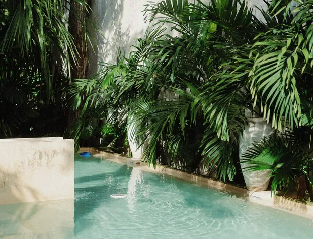 Casa Querida hotel detail image 3