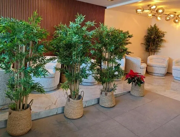 Hotel Olimpica Boutique hotel detail image 2