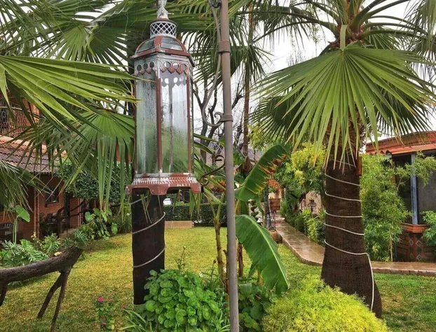 Hotel El Toro hotel detail image 1