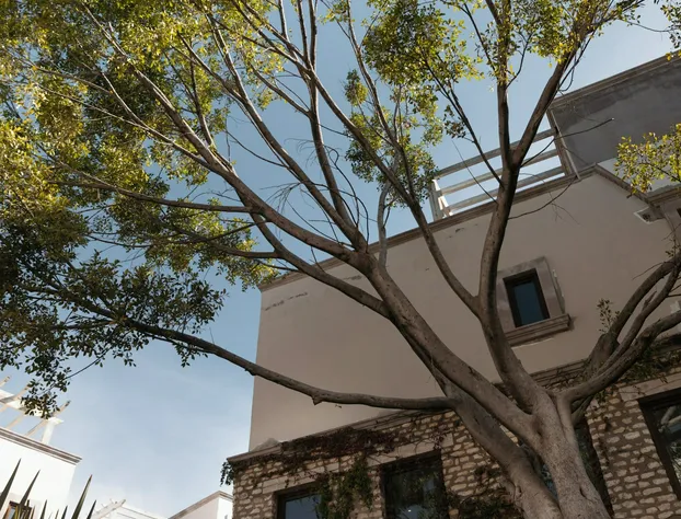 Trobbu Boutique Collection San Miguel hotel detail image 3